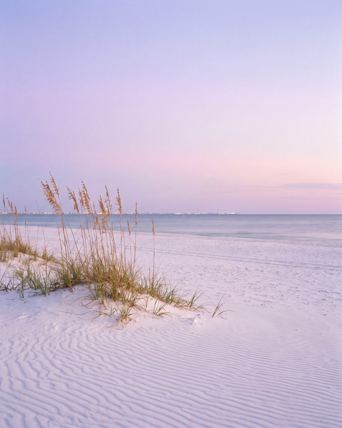 Illustration of white sand and sea oats under a pastel sky after sunset.