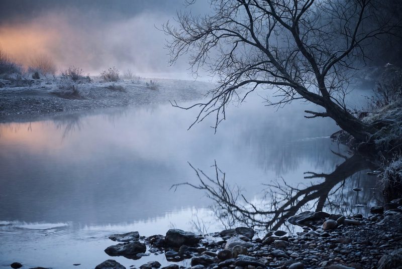 A bare tree leaning over a still river in morning mist, its branches reflected in the water.